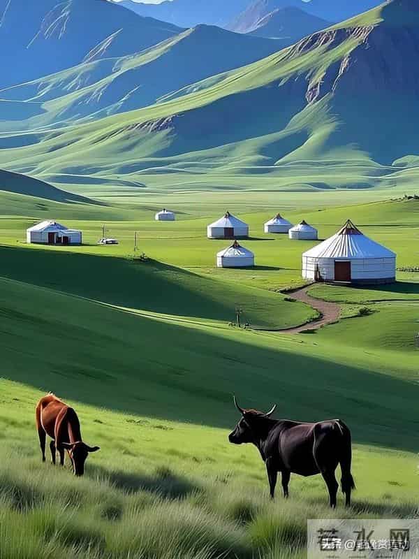 儿女找对象,先别急着买房备彩礼!这三样不查清,迟早要后悔。