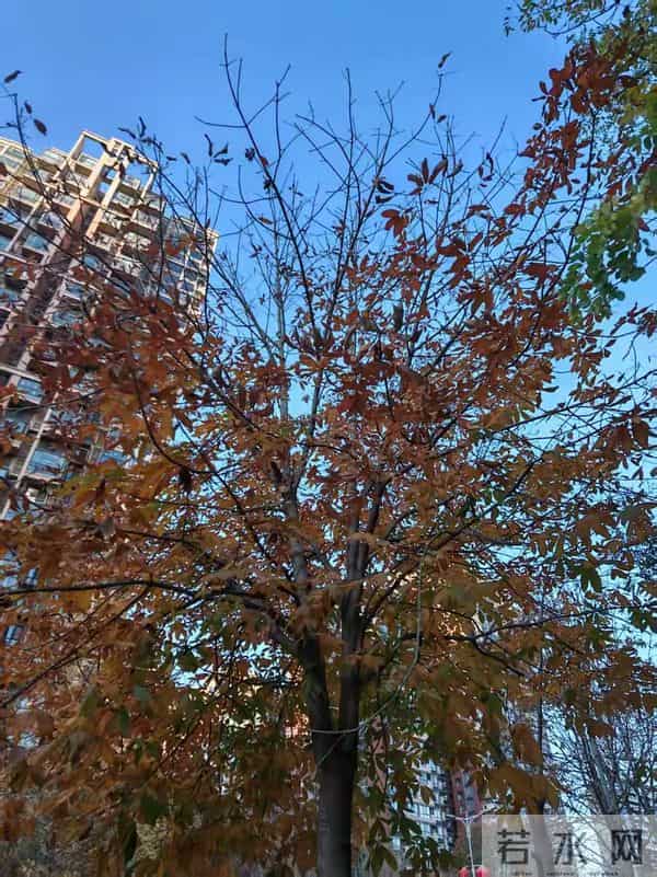 五十岁后，烟酒开始向你讨命！