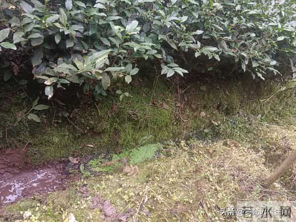 每个人都有自己的底线我不知道将来自己的亲人会不会试探我的底线