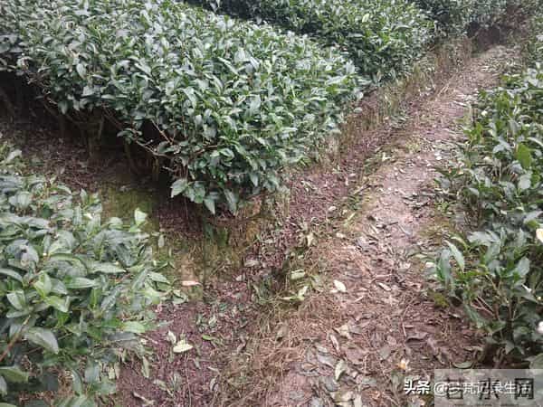 每个人都有自己的底线我不知道将来自己的亲人会不会试探我的底线