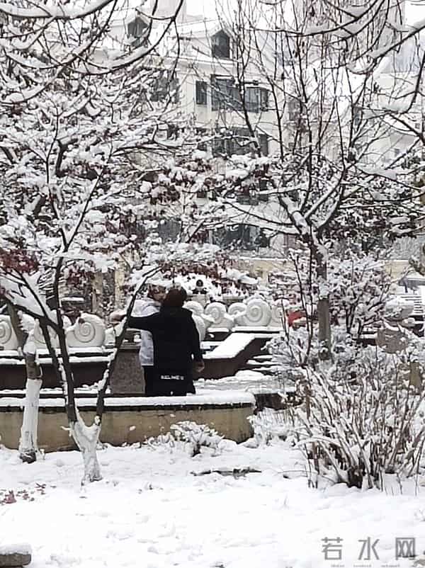 一觉醒来，青岛不青了，成白色的了