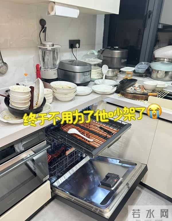 最没用的5种“厨房电器”，白送都不能要！看看你家有几件？