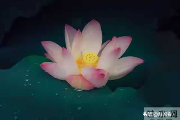 终于轮到你了！命运欠你的公道，将在本月以现金的方式加倍奉还。