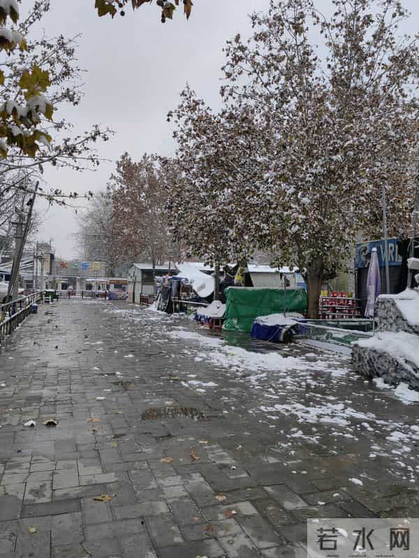 济宁要出门赏雪的抓紧了，今年天热，马上就化了。