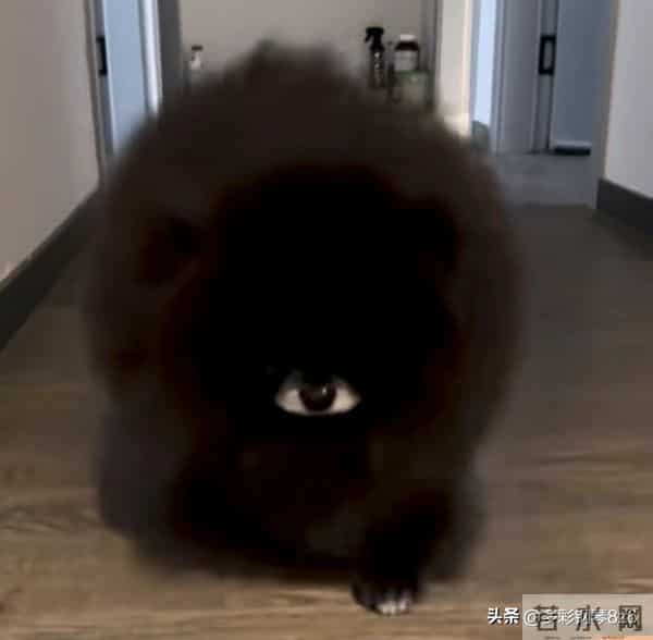 灵魂画像,和本尊长得真是一模一样,以为是抽象派,其实是写实派