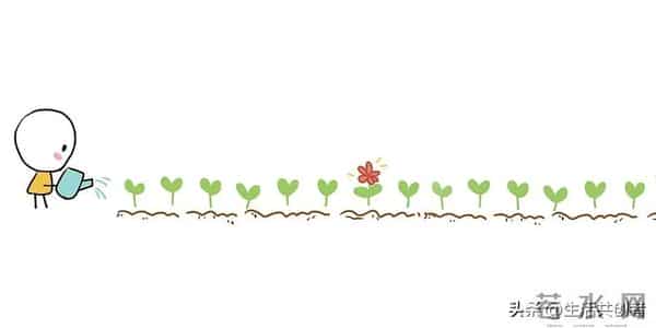 肠道通了！这口脆甜小食让宿便“狂飙”，3天堆积一次性排净