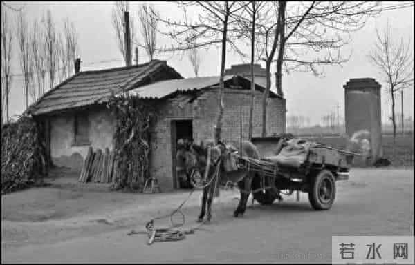 远去的八十年代