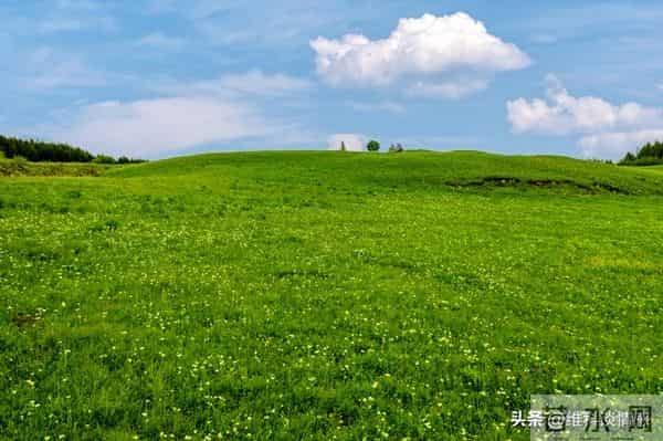 有富之人，藏不住”：有福气的男人，身上有这3个特点