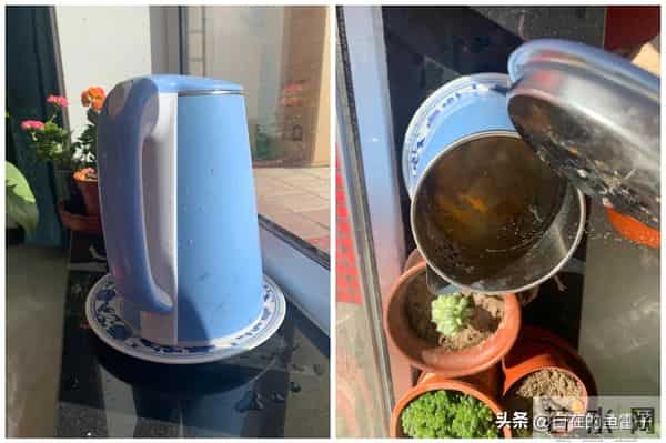 闲置旧家电别只当废品卖！网友的脑洞改造，让你直呼亏大了