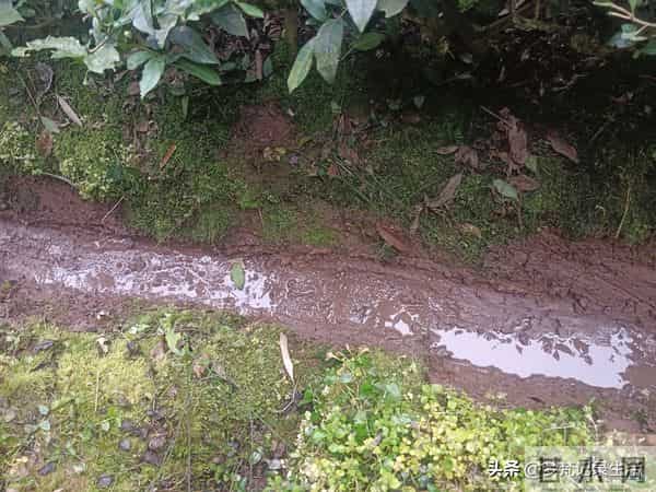 每个人都有自己的底线我不知道将来自己的亲人会不会试探我的底线