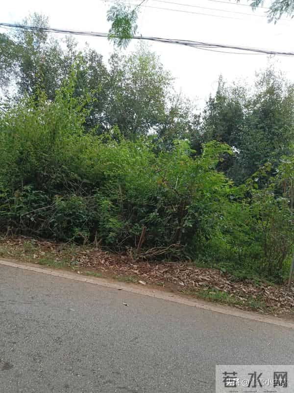 我爱的人你在哪儿呢