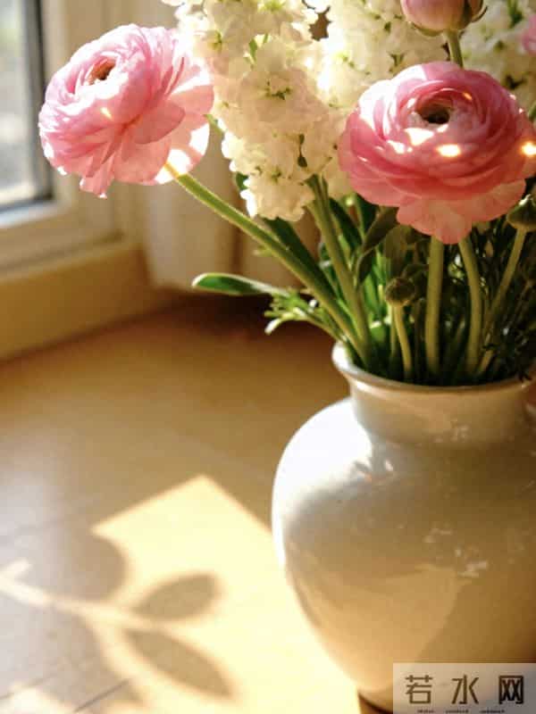 你不是抑郁，你只是没钱