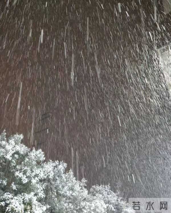 双十二给北京下了场雪，我让初三孩子撒了个欢儿