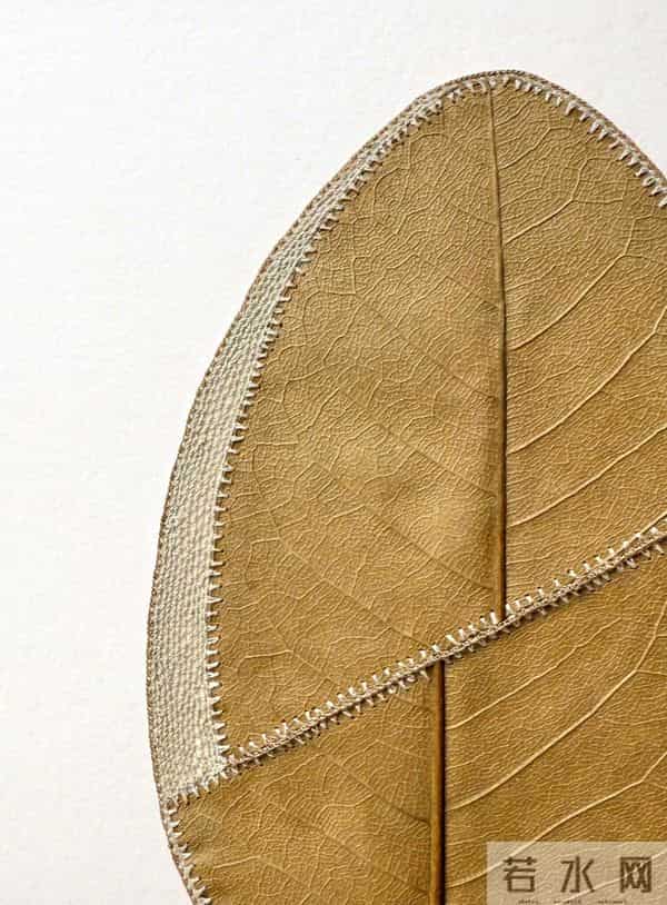 艺术家的手里真的什么都可以变美！艺术家 Susanna Bauer 树叶的艺术