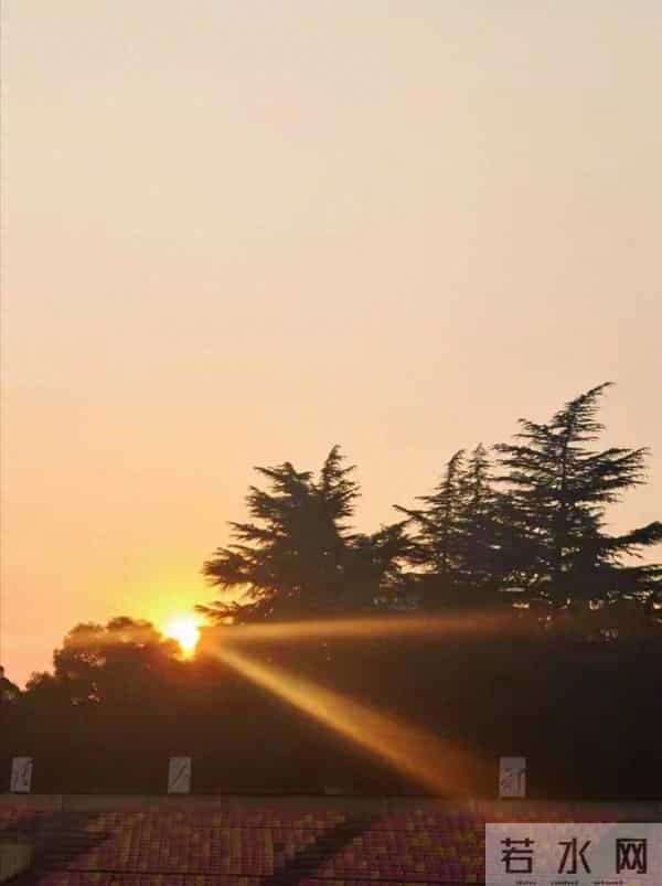 五十岁后，烟酒开始向你讨命！