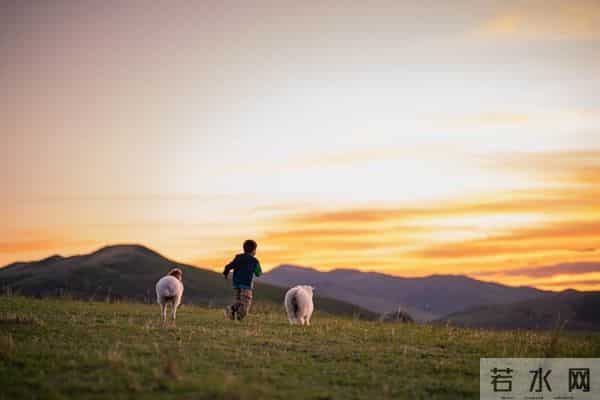 不管你信不信，你家孩子，就是那个注定要高飞、大有作为的苗子！