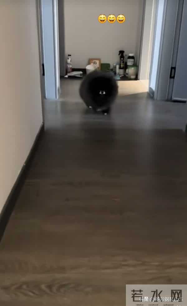 灵魂画像,和本尊长得真是一模一样,以为是抽象派,其实是写实派