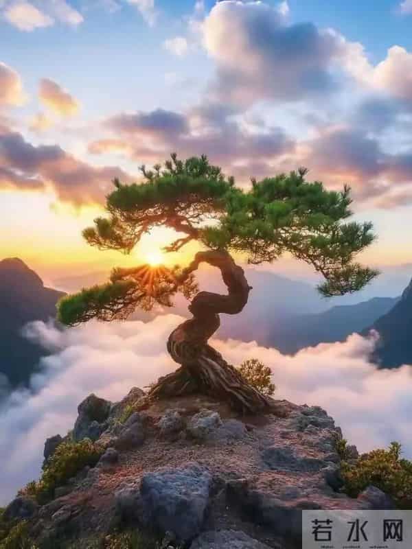 能量头像-跃鲤呈祥，竹节节高，年年有余