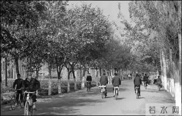 远去的八十年代