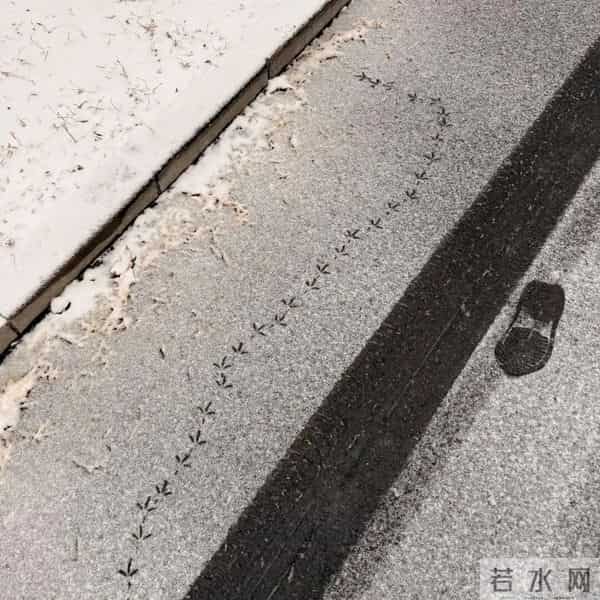 又到了重温陈奕迅经典语录的时候 - 冷段子3430 & 去年今日3080