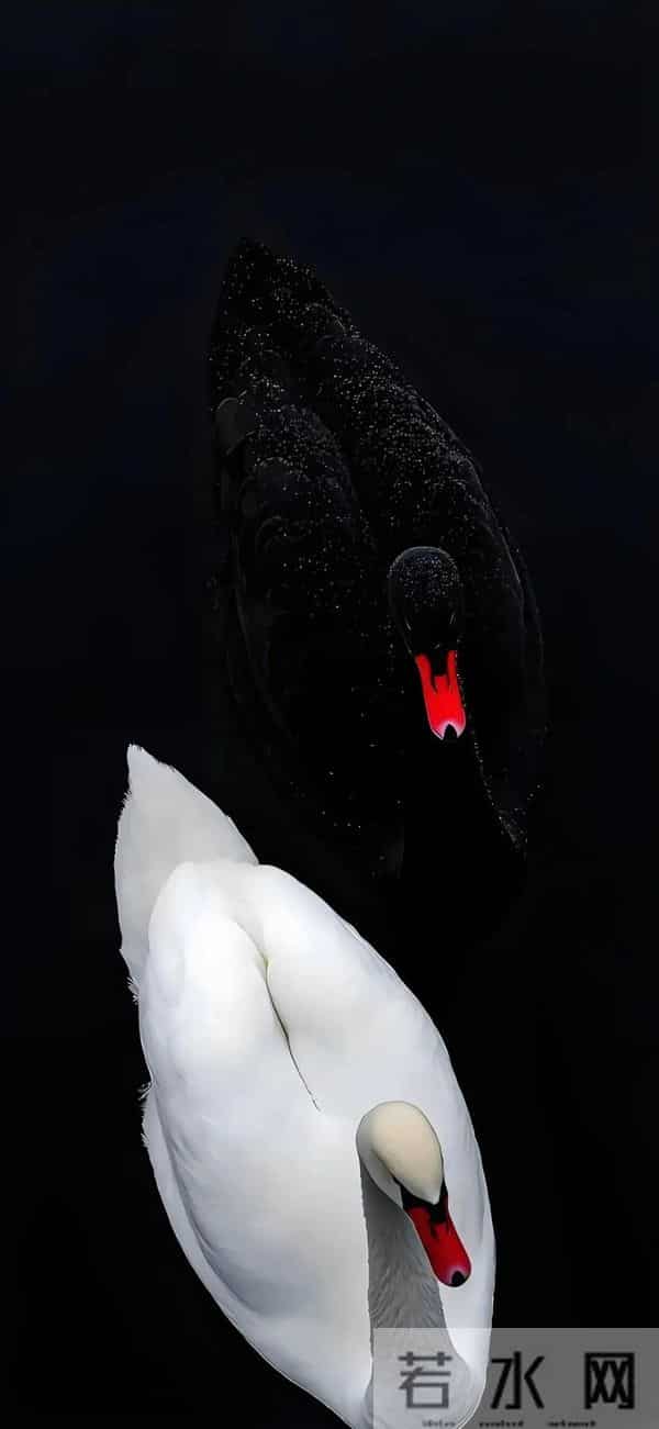 手机壁纸｜没有什么事，比开心和健康更重要