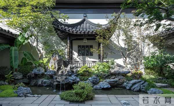 种树一定要种对位置！种错位置，后悔一辈子！