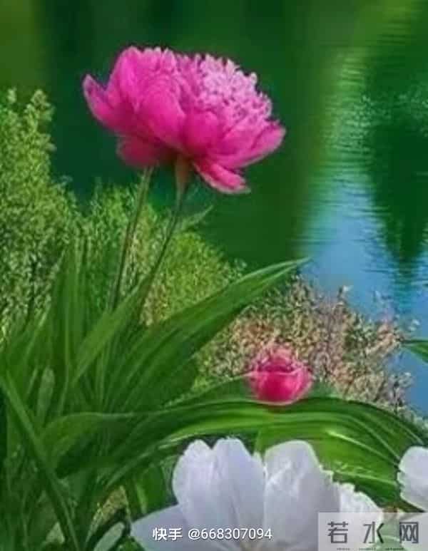 人越善良，福气越深，这是天道轮回的因果