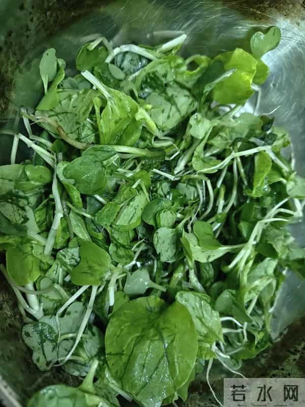 人家下雪天往家跑，而我下雪天往菜地跑，是憨了还是傻了？