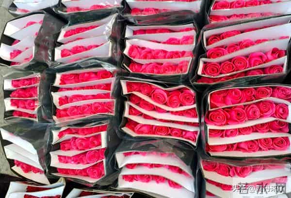 20种花店常见花材图片分享，有你喜欢的吗？