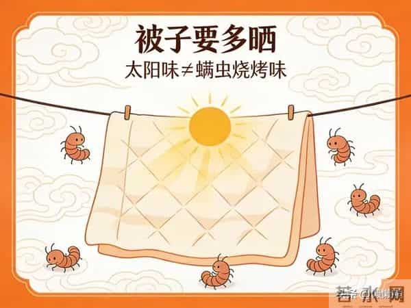 晒过的被子那股“太阳味”,是螨虫被烤焦了吗?真相瞒不住了!