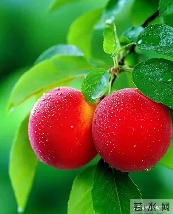 男人遇见真爱时，会有的顶级表现：两个字！