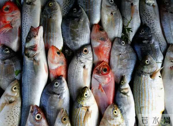 医生提醒:两种禽类容易导致孩子白血病,妈妈们购买时警惕