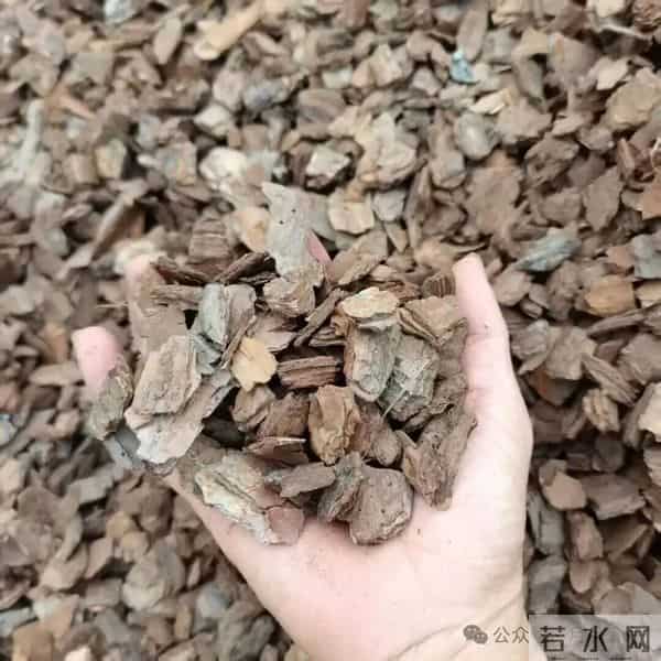 这“4种皮”打死别丢，埋花盆土壤肥的流油，比任何肥料都好用