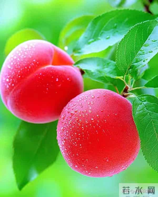 男人遇见真爱时，会有的顶级表现：两个字！