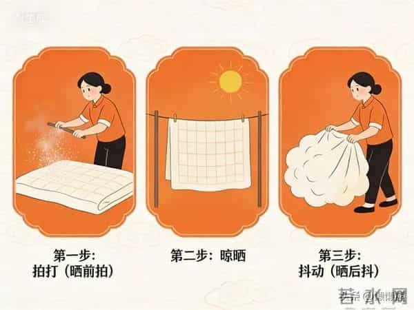 晒过的被子那股“太阳味”,是螨虫被烤焦了吗?真相瞒不住了!