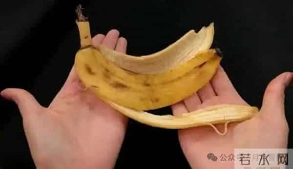 这“4种皮”打死别丢，埋花盆土壤肥的流油，比任何肥料都好用