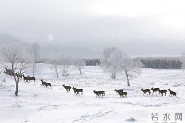 打猎人生记-无情的回击191