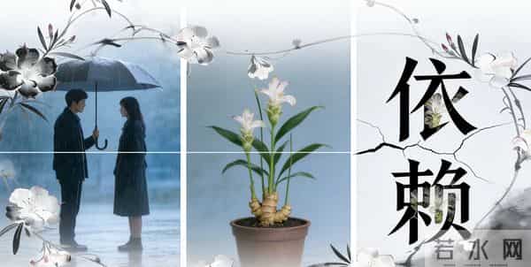 异性闺蜜系列五|姜花:风雨依赖,是救赎还是沦陷