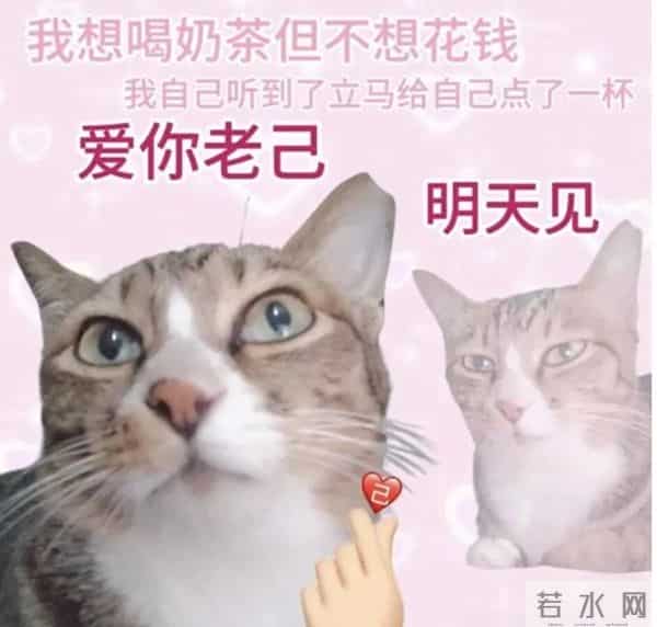 “爱你老己”刷屏，网友：世界上最伟大的梗出现了