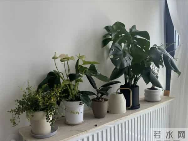 被网友家的5个暖气片用法折服了,思路打开后,比地暖还香