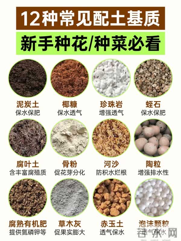 三角梅换盆只要选对时间、盆型，换完马上爆花