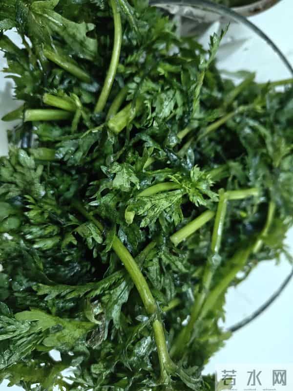 人家下雪天往家跑，而我下雪天往菜地跑，是憨了还是傻了？