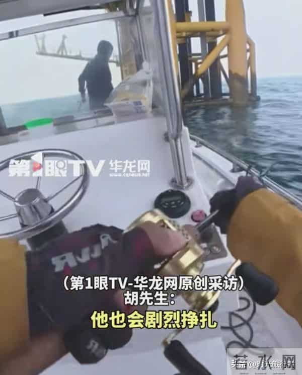 男子海钓以为中了大鱼,结果发现是潜水员,当事人讲述网友笑翻了