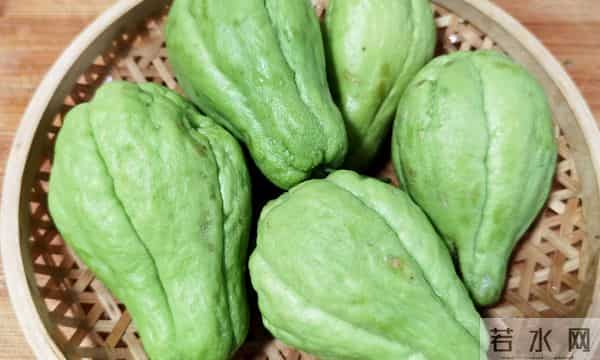 冬天使劲吃，硒是洋葱的50倍，被低估的“放心”菜，分享3种做法