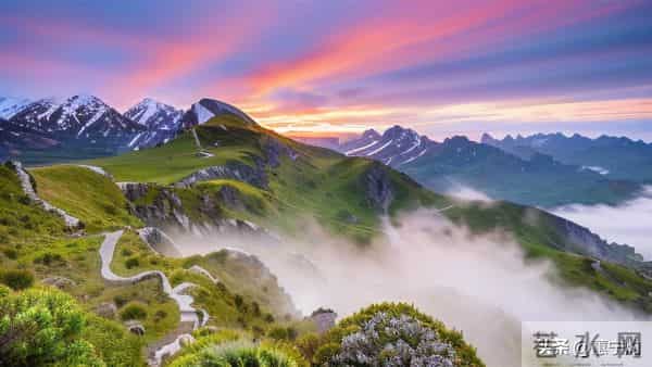 一夜之间，躺平的人成了蕞大的赢家