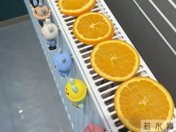 被网友家的5个暖气片用法折服了,思路打开后,比地暖还香