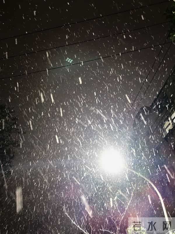 此刻，济宁雪下的正大，不用去东北装小土豆了。