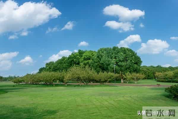 有富之人，藏不住”：有福气的男人，身上有这3个特点