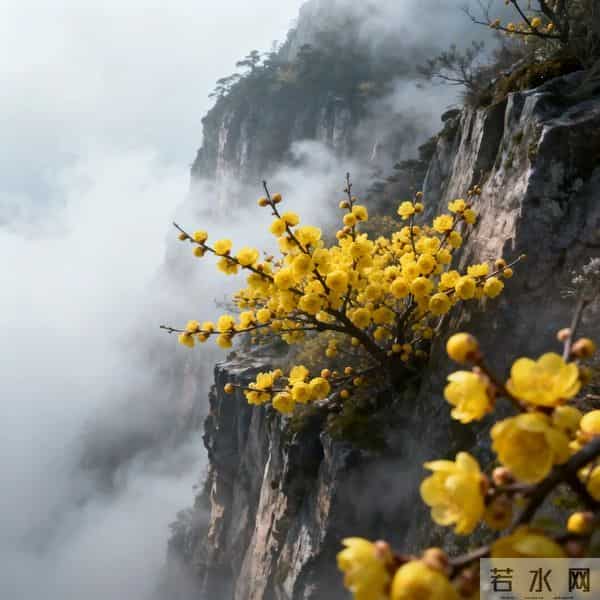 生意人必备招财头像：山聚财气，水纳福运，生意兴隆通四海