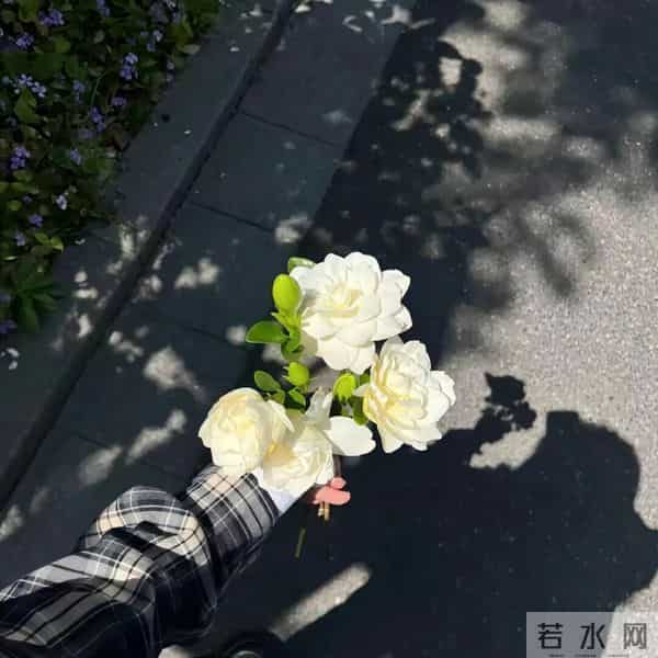 朋友圈背景图头像